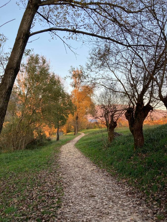 Casa Del Nonno Leone Lägenhet Tarzo Exteriör bild